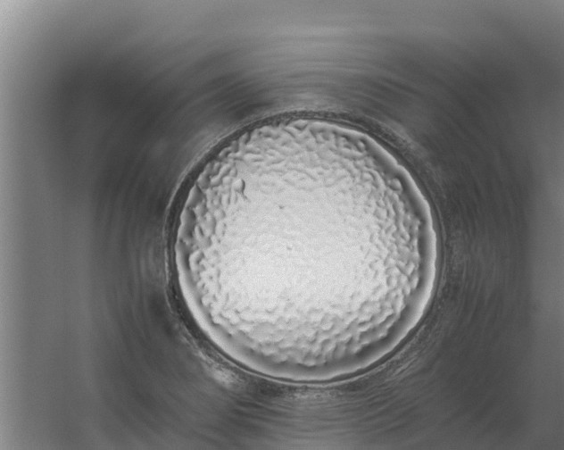 X0000059831274200511041736