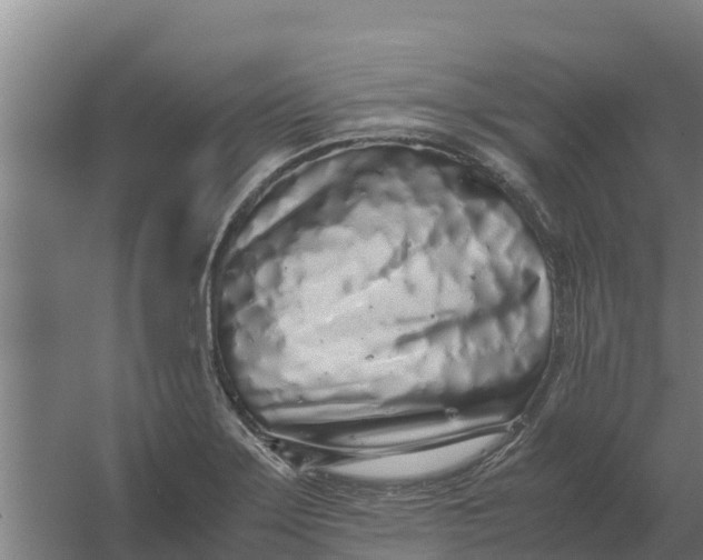 X0000059831275200511041736