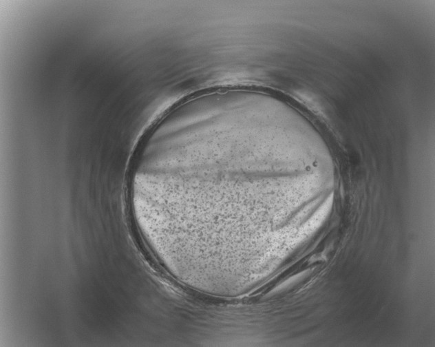 X0000059831277200511041736