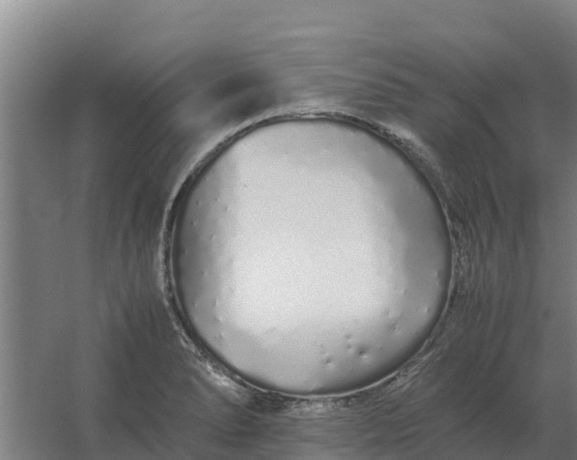 X0000059831278200511041736