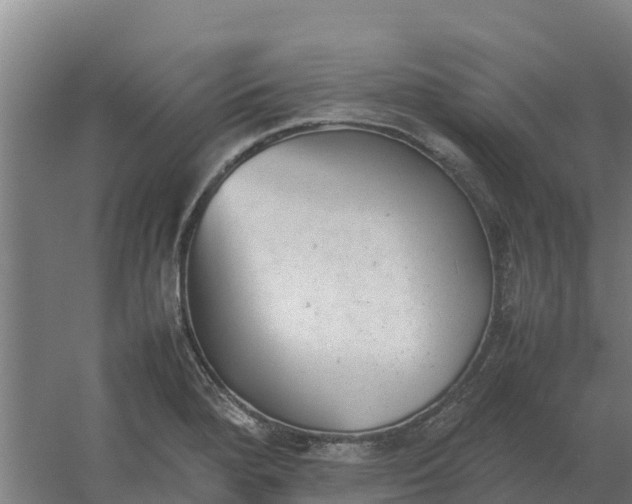 X0000059831280200511041736