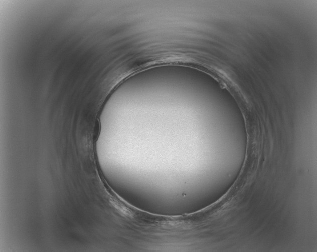 X0000059831281200511041736