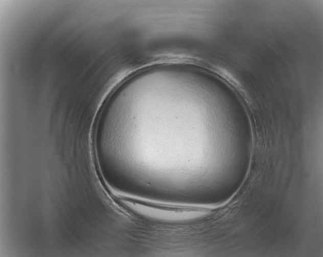 X0000059831283200511041736