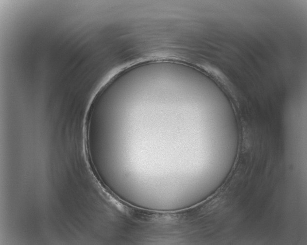 X0000059831286200511041736