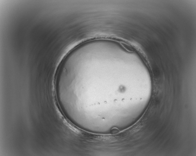 X0000059831287200511041736