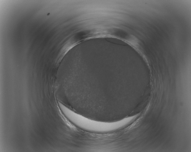 X0000059831289200511041736