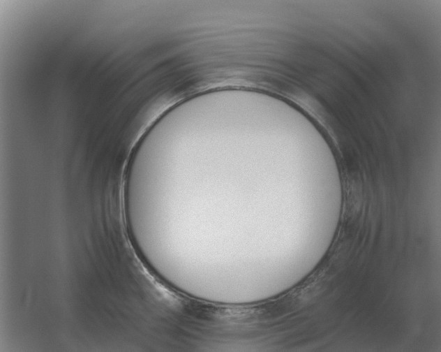 X0000059831290200511041736