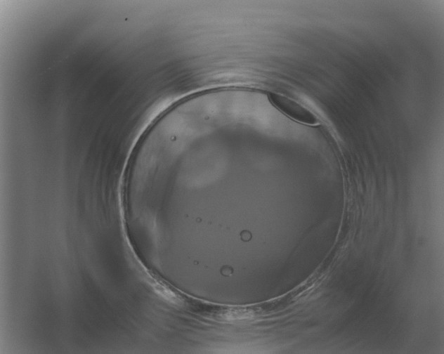 X0000059831291200511041736