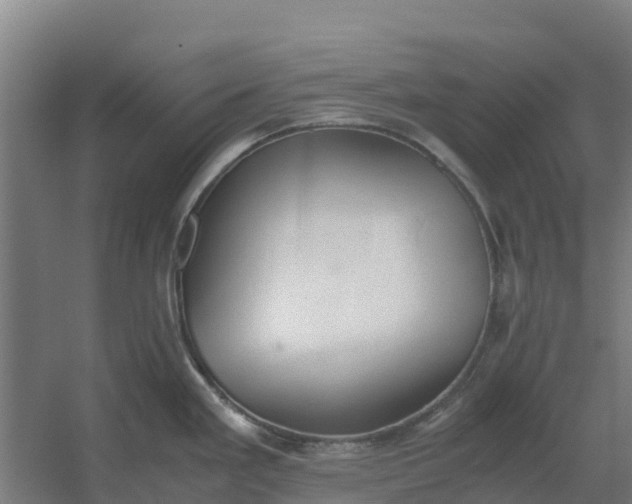 X0000059831293200511041736