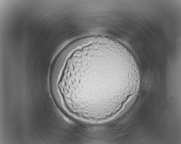 X0000059831294200511041736