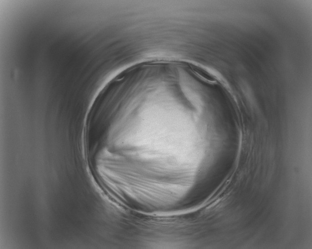 X0000059831295200511041736