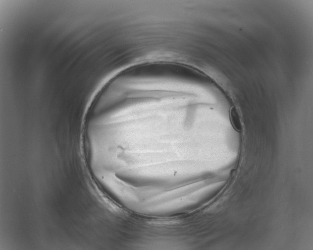 X0000059831296200511041736