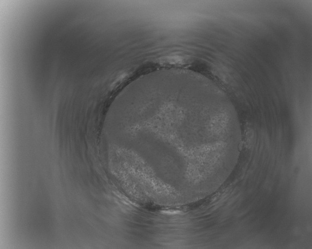 X0000059831297200511041735