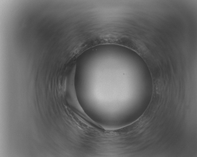 X0000059831298200511041735