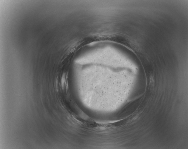 X0000059831300200511041735