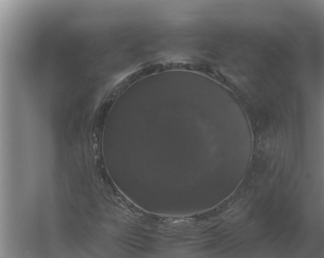 X0000059831303200511041735