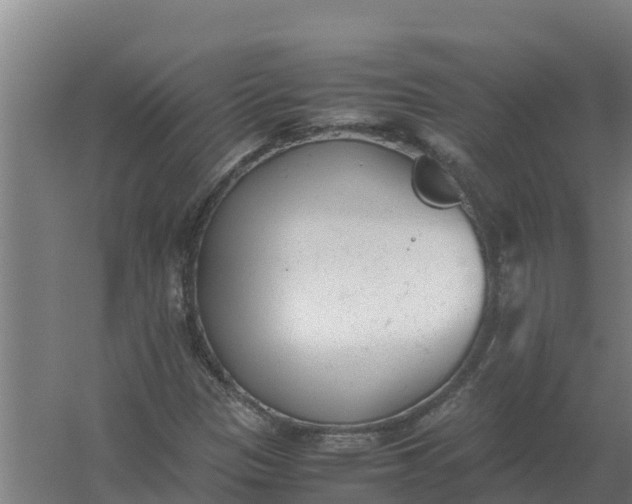 X0000059831305200511041735