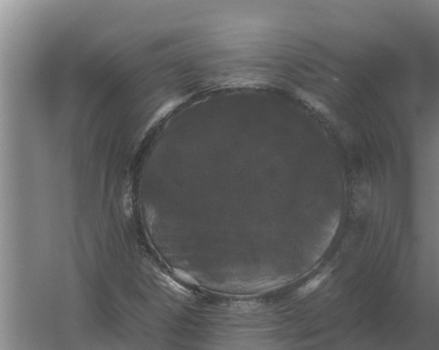 X0000059831306200511041735