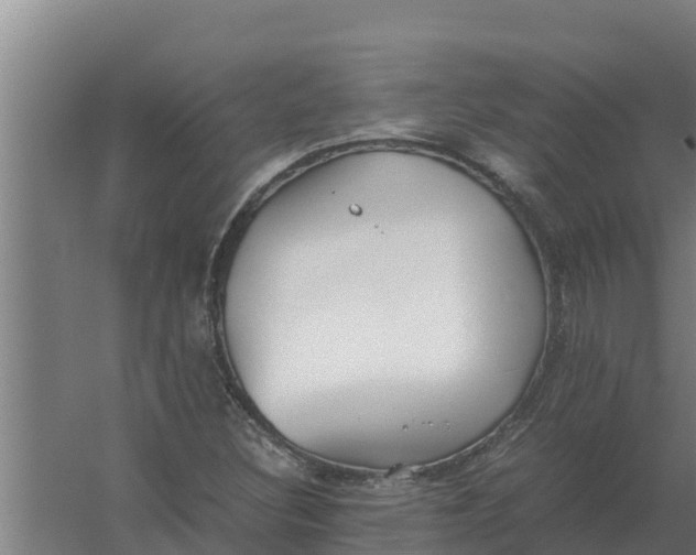 X0000059831308200511041735