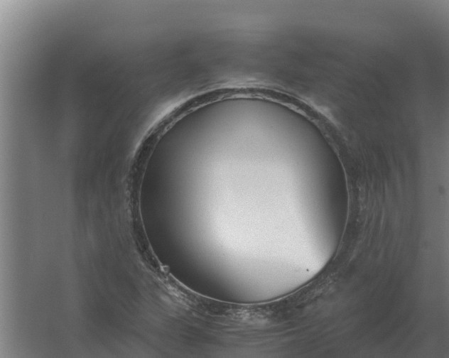 X0000059831311200511041735