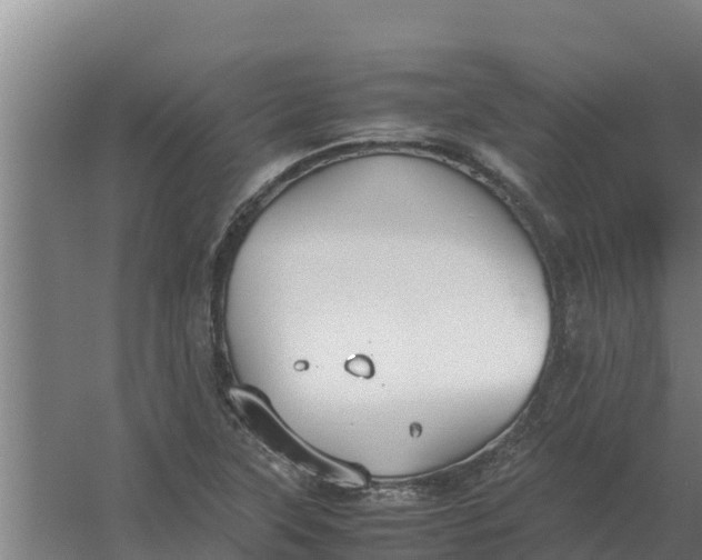 X0000059831315200511041735