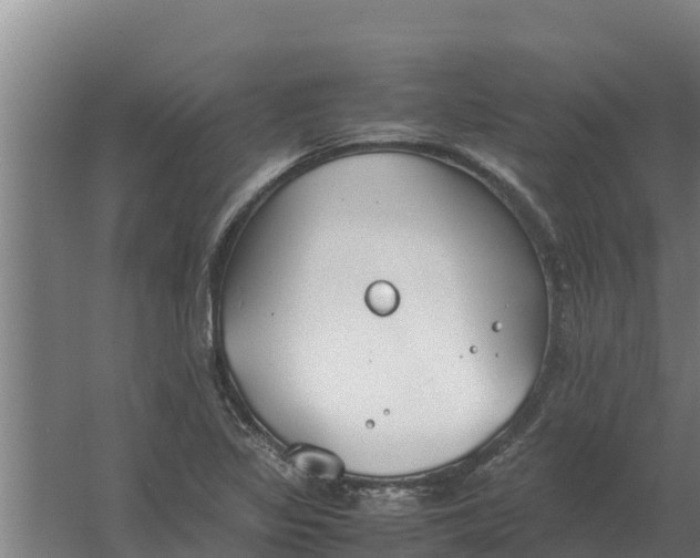 X0000059831317200511041735