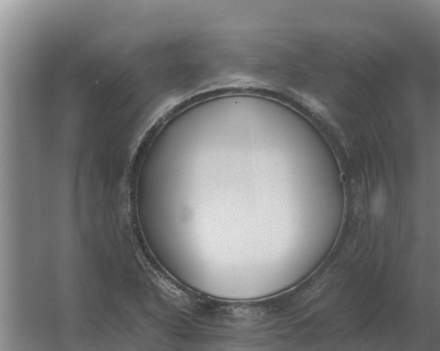 X0000059831318200511041735