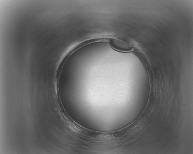 X0000059831320200511041735