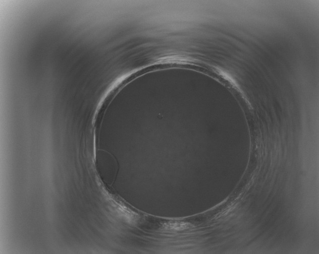 X0000059831323200511041735