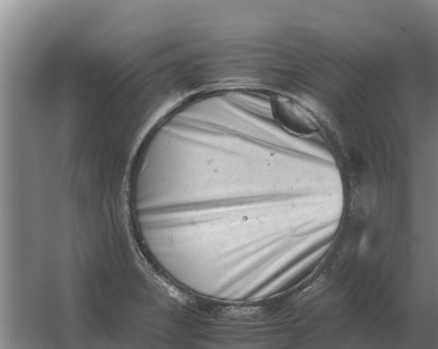 X0000059831325200511041735