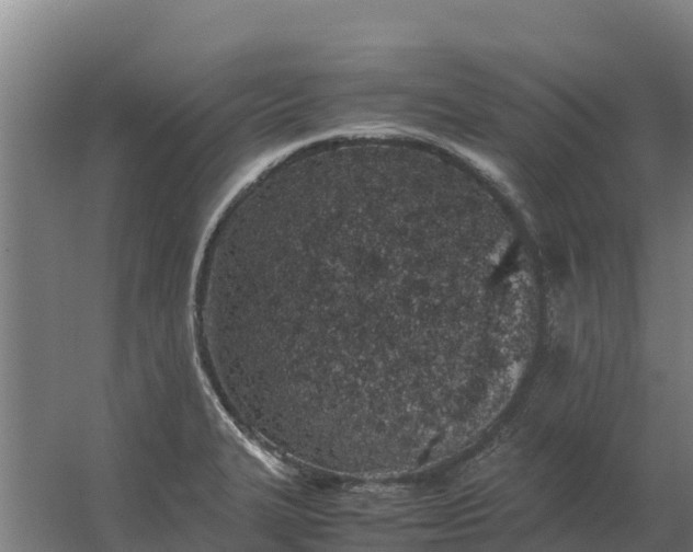 X0000059831327200511041735