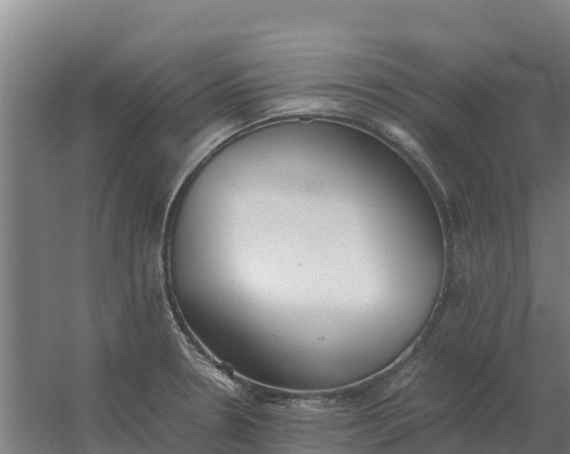 X0000059831330200511041735