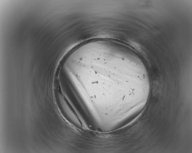 X0000059831331200511041736