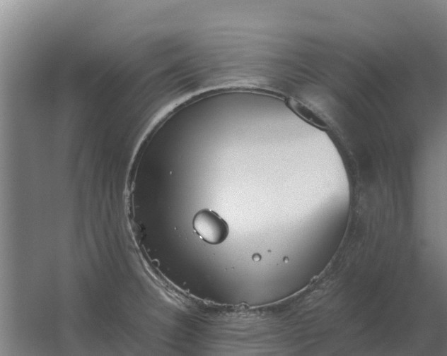 X0000059831332200511041736