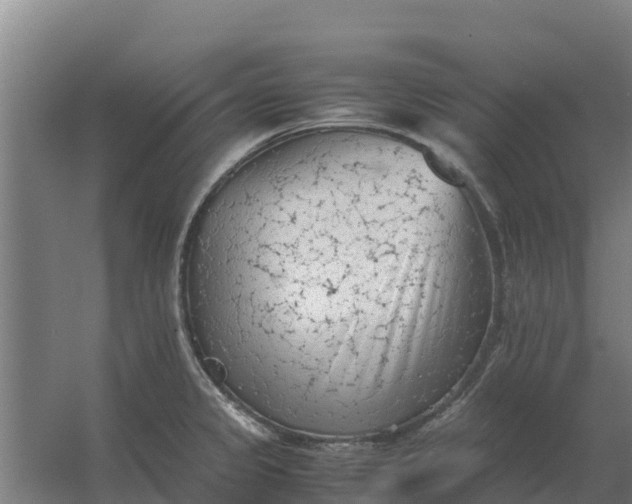 X0000059831333200511041736