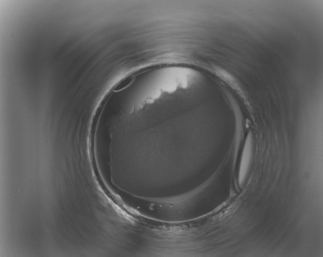 X0000059831334200511041736