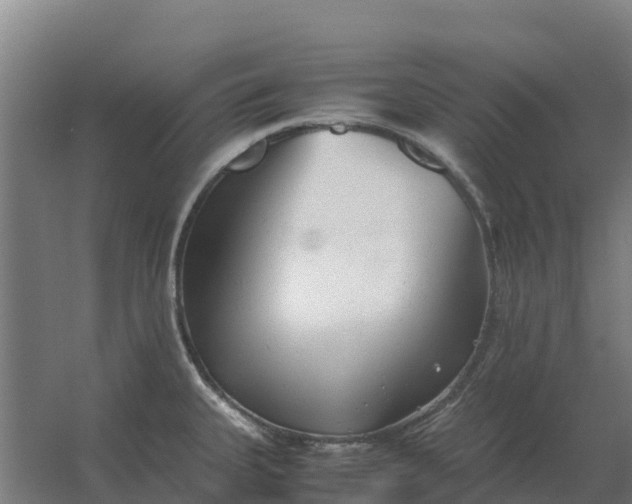 X0000059831335200511041736