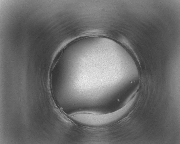 X0000059831336200511041736