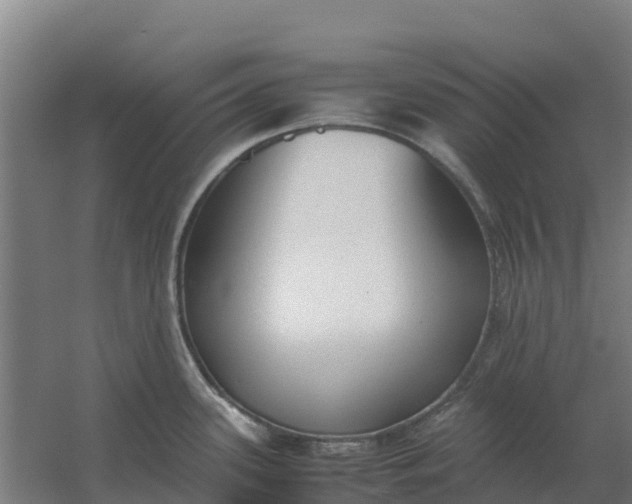 X0000059831339200511041736