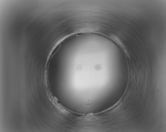 X0000059831340200511041736