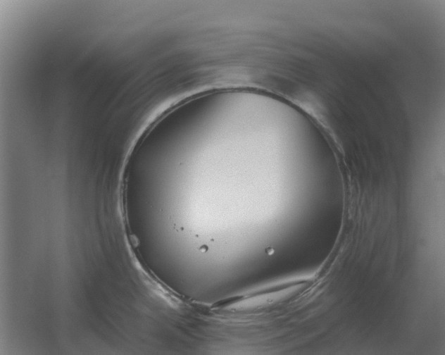 X0000059831342200511041736