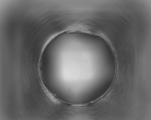 X0000059831344200511041736