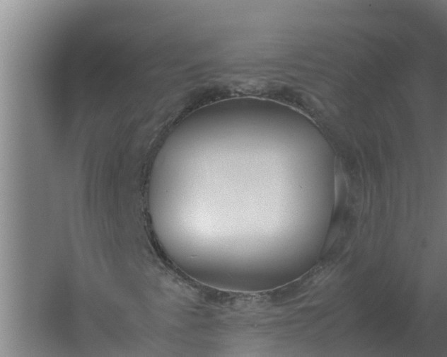 X0000059831345200511041735