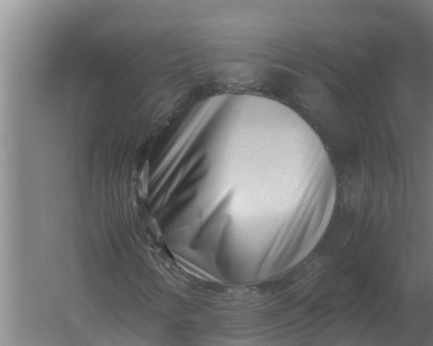 X0000059831346200511041735