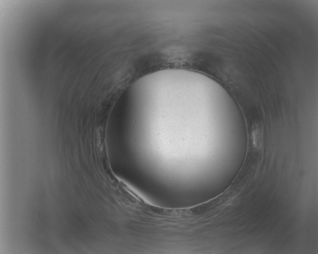 X0000059831347200511041735