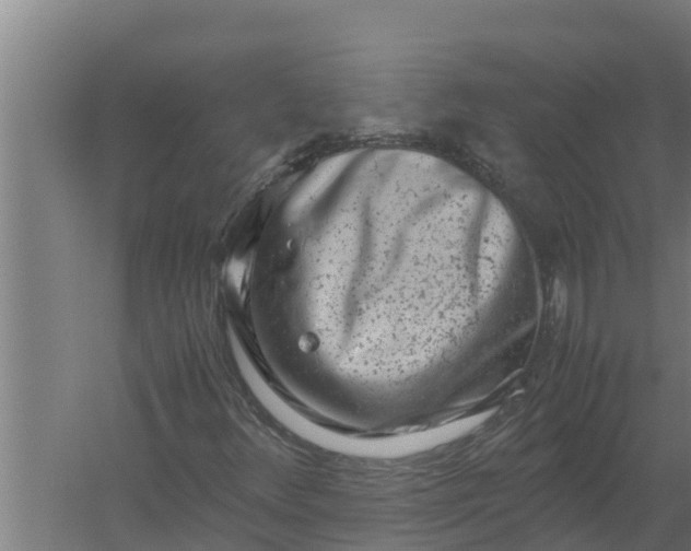 X0000059831348200511041735