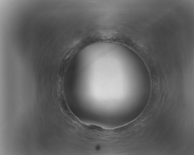 X0000059831349200511041735