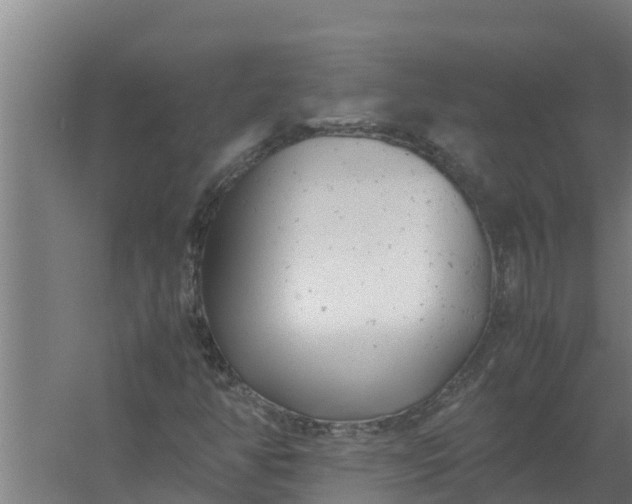 X0000059831350200511041735