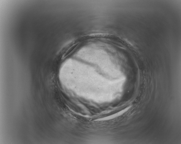 X0000059831351200511041735