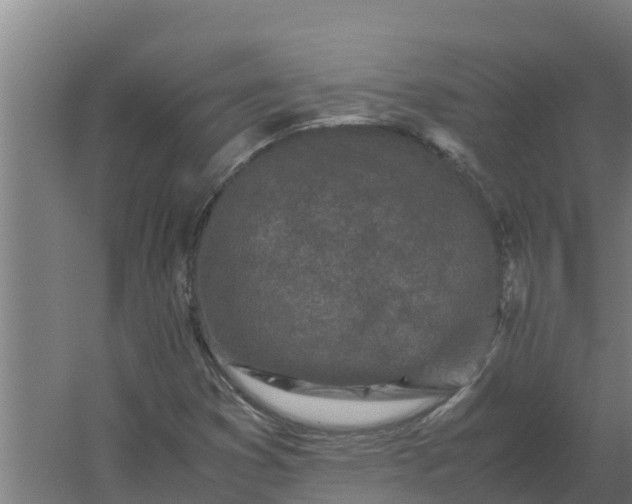 X0000059831353200511041735